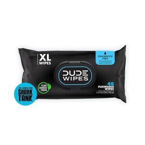 COPY - DUDE Wipes - On-The-Go Flushable Wipes - 1 Pack, 48 Wipes